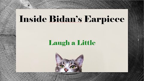 Inside Bidan's Earpiece - Laugh a Little