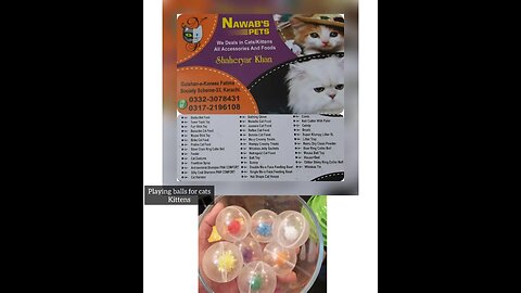 Pet Accessories and Foods