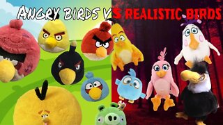 Angry Birds vs Realistic Birds