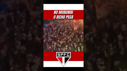 SPFC #saopaulo #tricolor #spfc