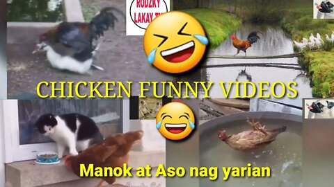 chicken funny videos | funny animal videos 2021
