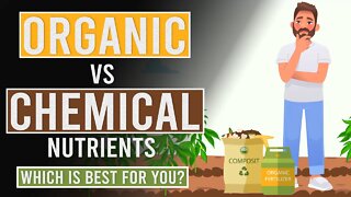 Organic Vs Synthetic Nutrients: Which is Best for you?