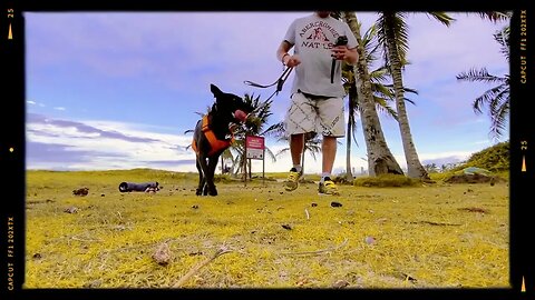 ß Ø ¥ Å DIA DE TREINO NA PRAIA 19 05 2023