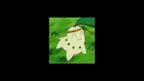 Top 10 Chikorita (チコリータ) Card Art Ranking!