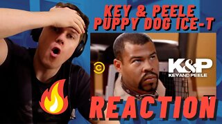 Key & Peele - Puppy Dog Ice-T ((REACTION!!))