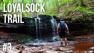 Loyalsock Trail Thru Hike 2022 Part 3 - Waterfalls Rock Garden and a Broken Heart