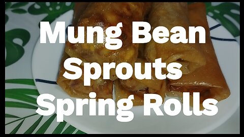 Simple Mung Bean Sprouts Spring Rolls