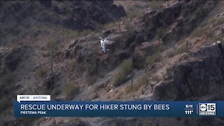 Rescue underway for hiker stung by bees on Piestewa Peak