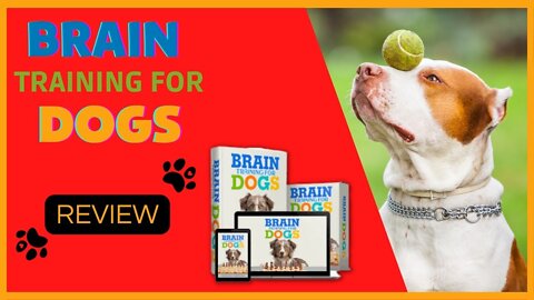 BRAIN TRAINING FOR DOGS REVIEW - DOES YOUR DOG BARK EXCESSIVELY? GET RID OF IT ONCE AND FOR ALL.