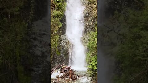 The pure power of a waterfall #waterfall #vancityadventure #vancity #shortvideo