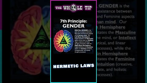 HERMETIC LAWS - VII GENDER - the Whole Tip #shorts #short #shortvideo #subscribe #shortsvideo