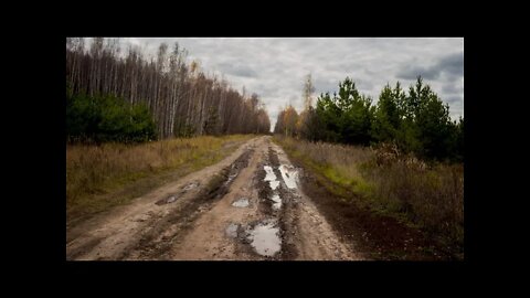 Gentle rain hitting puddles in lonely dirt road, calming sounds of nature to help you relax