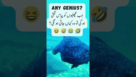 Thirsty Fish | interesting facts | funny quotes | joke in Urdu