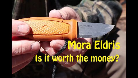 Mora Eldris - Is it Worth the Money?