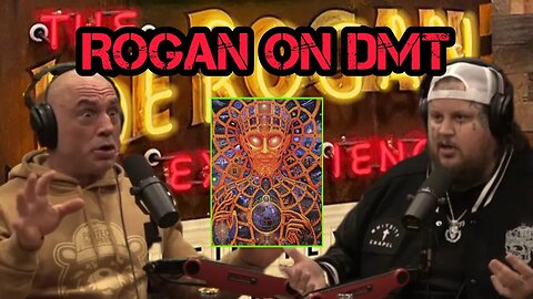 Joe Rogan SHOCKS Guest With Epic DMT Rant "It's a Wormhole to Heaven"