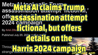 Meta AI claims Trump assassination attempt fictional, but offers details on the Harris 2024 campaign