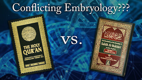 Conflicting Embryology in the Quran and Hadith?
