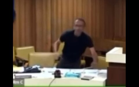 Trump conspiracy theorist goes nuts in court. #trending #courtcam #zoom #judge #viralvideo