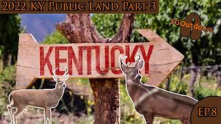 Bucks on the Move in Kentucky!! 2022 KY Public Land Hunt Part 3 Ep 8