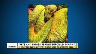 Pets and Things Reptile Emporium in Utica helping of cold-blooded pet owners