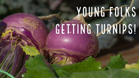 Ms. Mant T. Is Delighted That The Young Folks Like Turnips