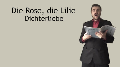 Die Rose, die Lilie - Dichterliebe - Robert Schumann