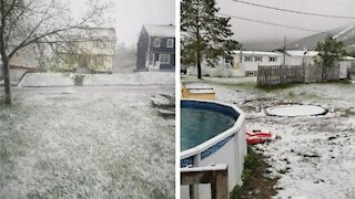 Après la canicule, des Québécois se réveillent sous la neige ce jeudi