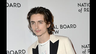 Timothee Chalamet reportedly reuniting with Call Me By Your Name director on new horror