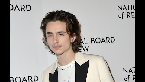 Timothee Chalamet reportedly reuniting with Call Me By Your Name director on new horror