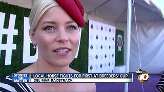 Huge stakes, high fashion and big stars at 2017 Breeders' Cup