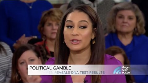 This NBC Reporter Defended Elizabeth Warren While Using Her Race As An Example
