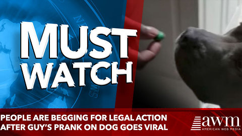 People Are Begging For Legal Action After Guy’s Prank On Dog Goes Viral. Do You Agree?