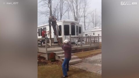 L'albero viene tagliato, ma si vendica