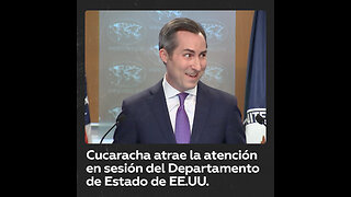 Una cucaracha interrumpe un ‘briefing’ en el Departamento de Estado de EE.UU.