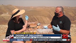 Science Sundays: Digging Up Discoveries