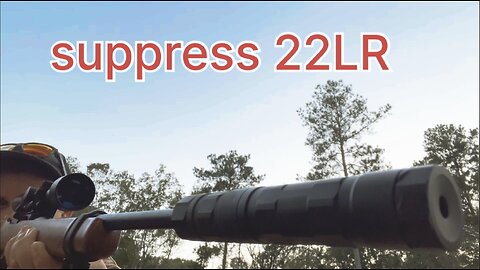 suppressed Ruger 10/22