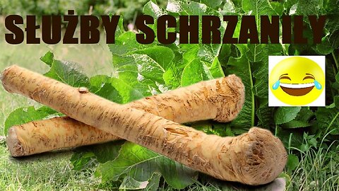 SLUZBY SCHRZANILY