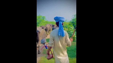 Punjab