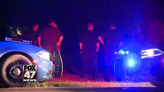 Driver crashes, flees after police pursuit