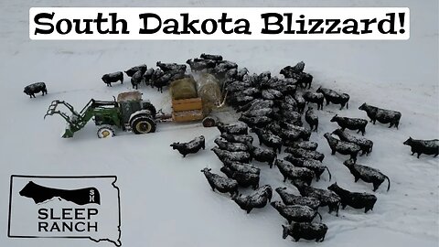 Blizzard Hits the Ranch…