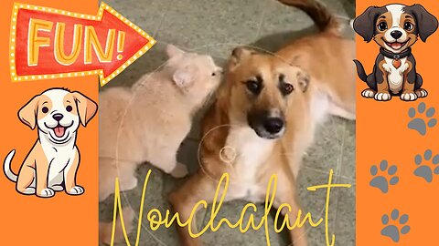 Funniest Nonchalant Puppies! 🐶