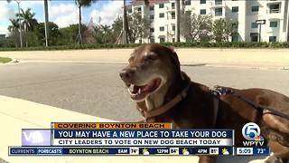 Boynton Beach considers new dog-friendly beach