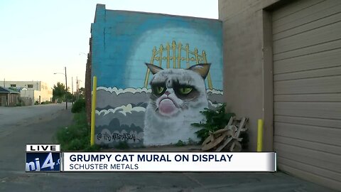 Grumpy Cat mural on display in Milwaukee
