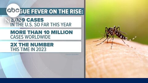 Dengue fever cases on the rise