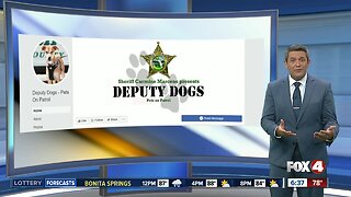 Lee County Sheriff launches new Facebook page for 'Deputy Dogs'