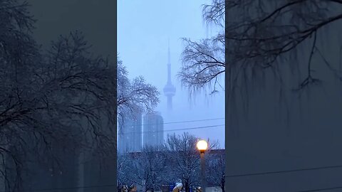 Beauty of CN tower on Snow day - Toronto