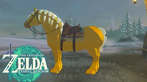 Zelda's Golden Horse| The Legend of Zelda Tears of the Kingdom #18