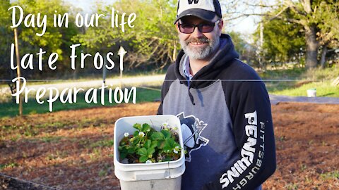 Late Frost Garden Preparation | Day In Our Life | Baby Chicks Are Growing