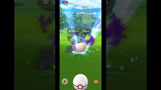 Pokémon Go - Catching SHADOW POKEMON SPHEAL Gameplay