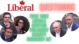 Three Liberals question parliament security on the use of the emergency act.